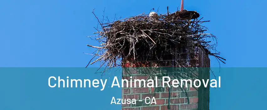 Chimney Animal Removal Azusa - CA