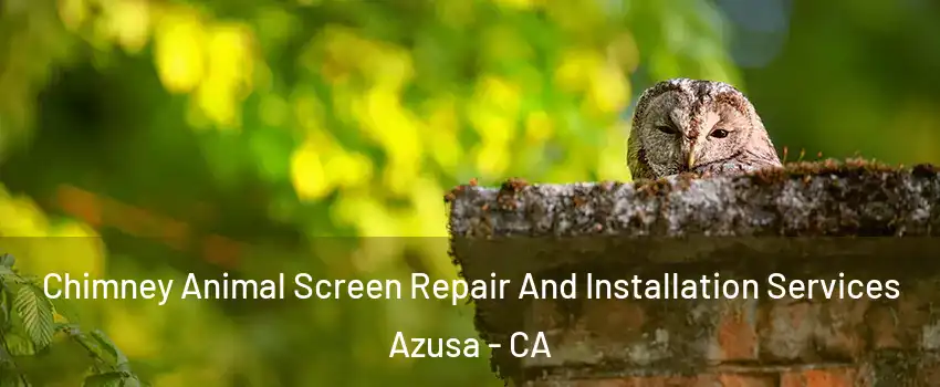  Chimney Animal Screen Repair And Installation Services Azusa - CA